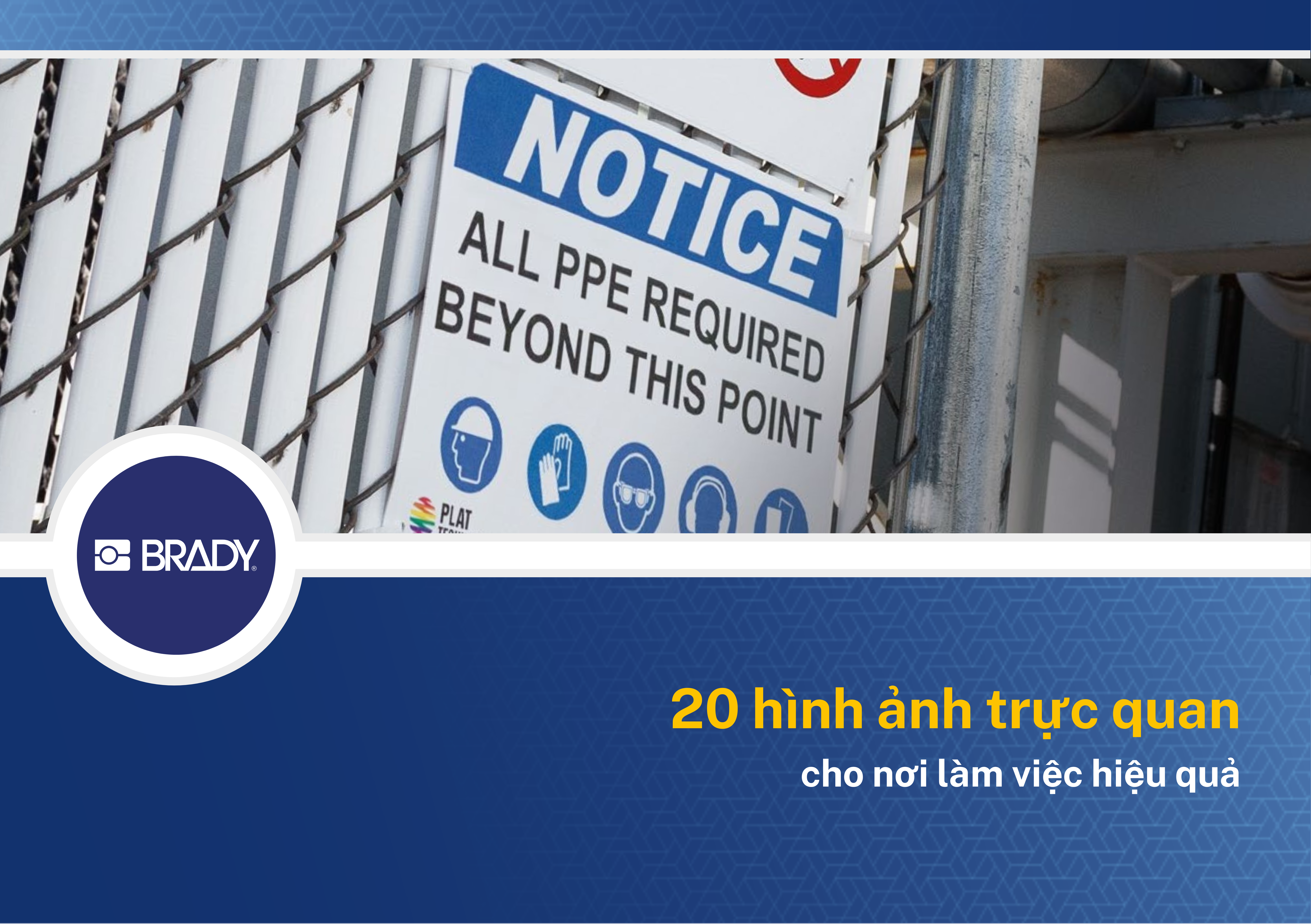 Bìa Brochure Brady.png